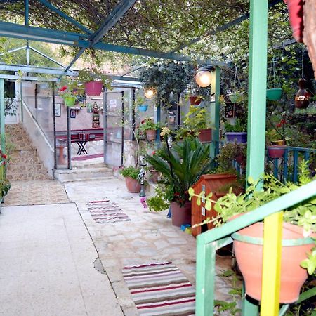 بيت الطبيعة Nature House Jarash Extérieur photo