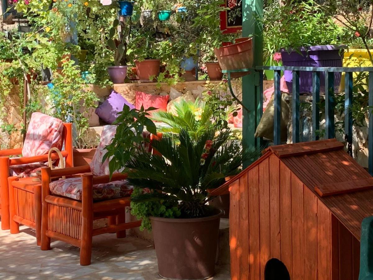 بيت الطبيعة Nature House Jarash Extérieur photo