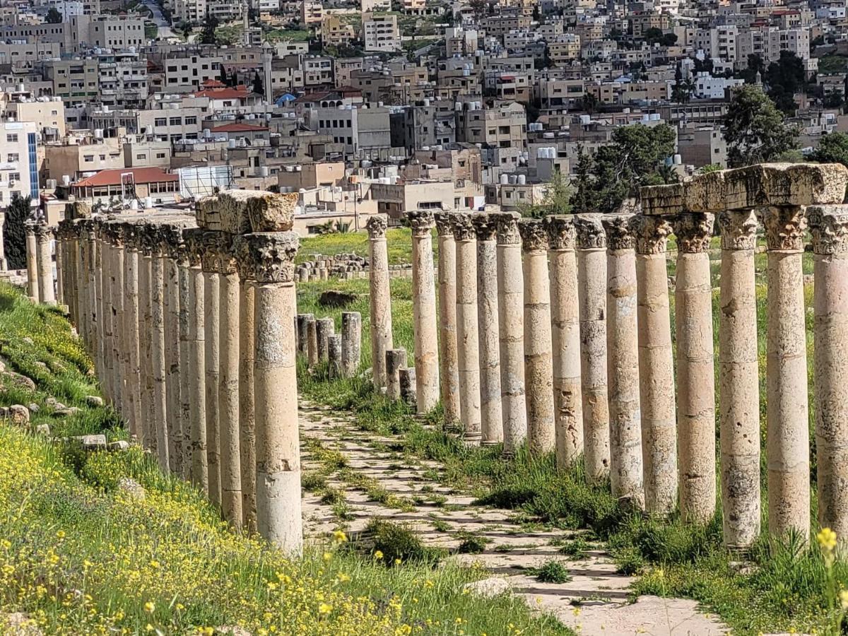 بيت الطبيعة Nature House Jarash Extérieur photo