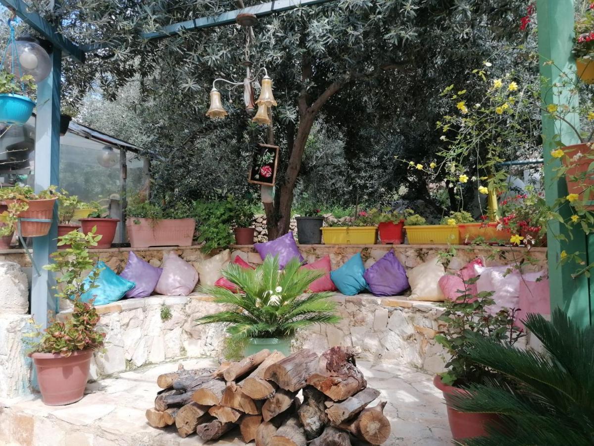 بيت الطبيعة Nature House Jarash Extérieur photo