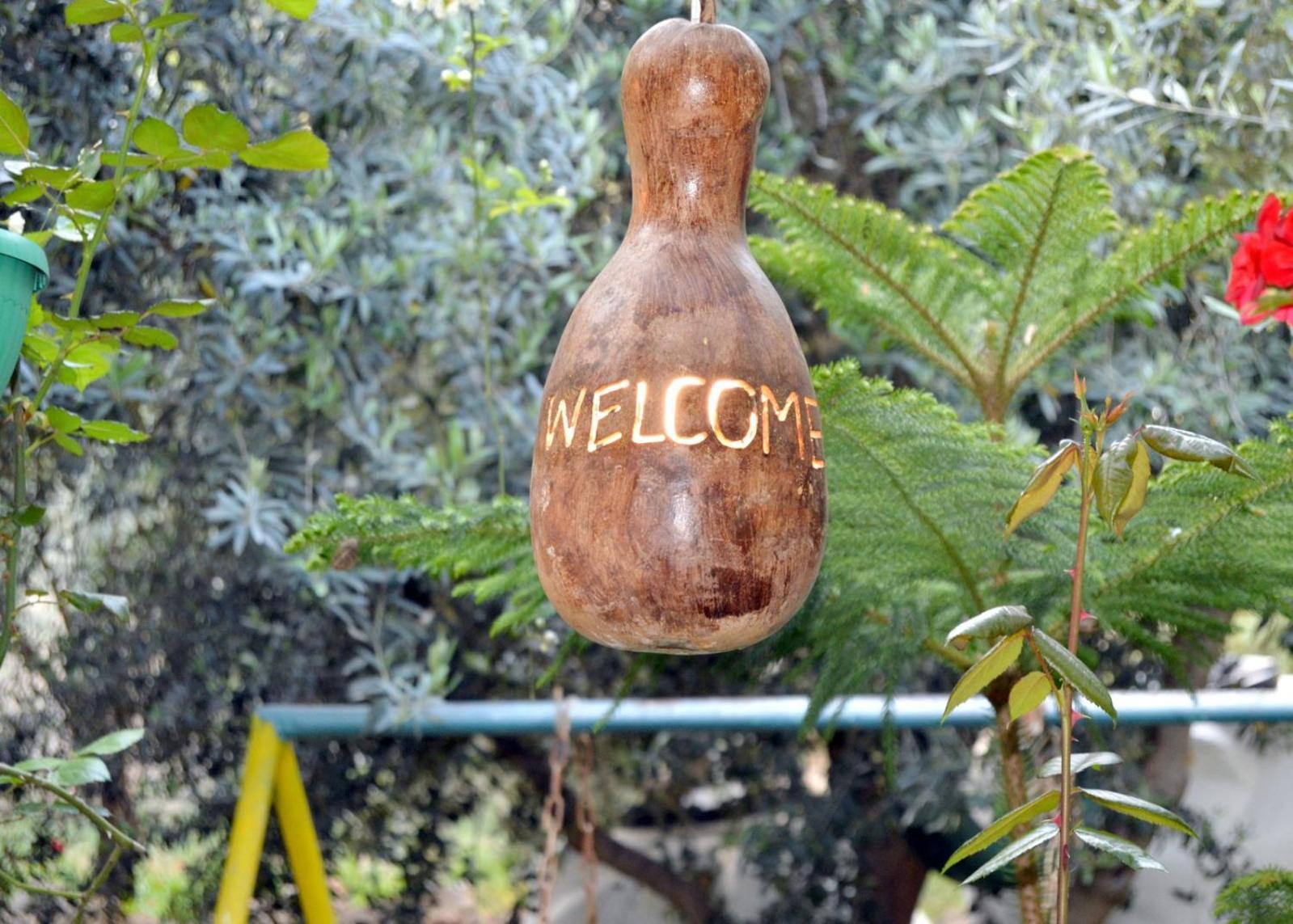 بيت الطبيعة Nature House Jarash Extérieur photo