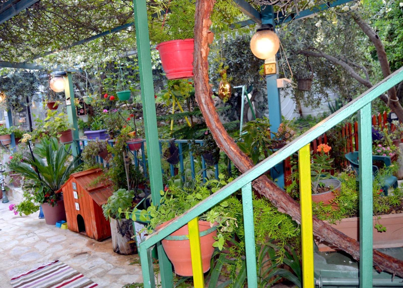 بيت الطبيعة Nature House Jarash Chambre photo