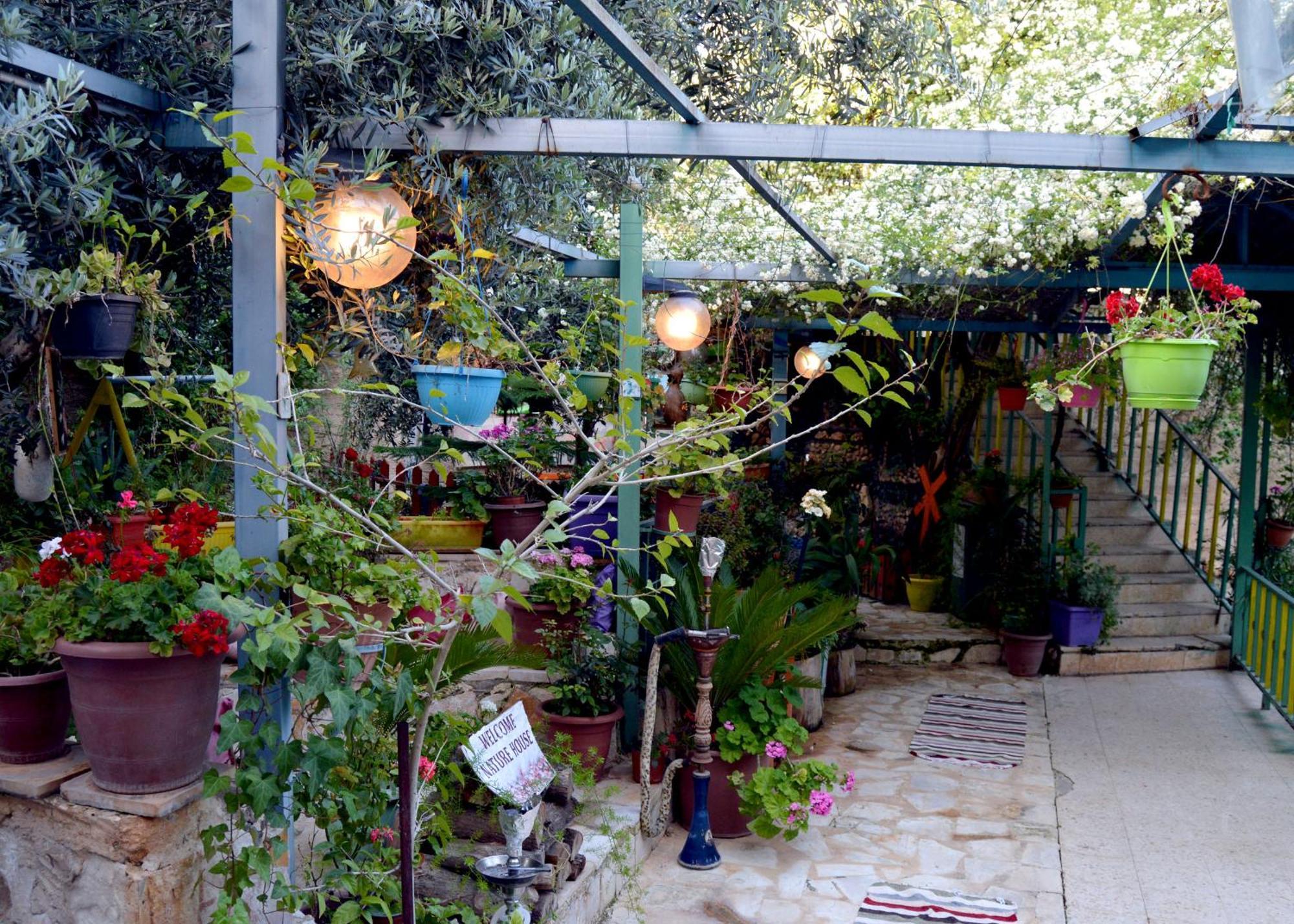 بيت الطبيعة Nature House Jarash Extérieur photo
